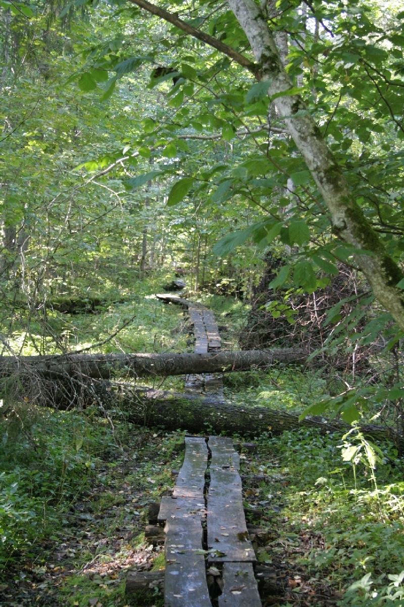 2005_09_18 259.jpg